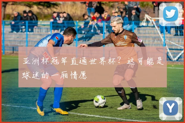 亚洲杯冠军直通世界杯？这可能是球迷的一厢情愿