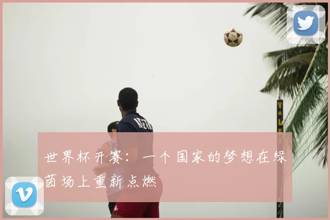 世界杯开赛：一个国家的梦想在绿茵场上重新点燃