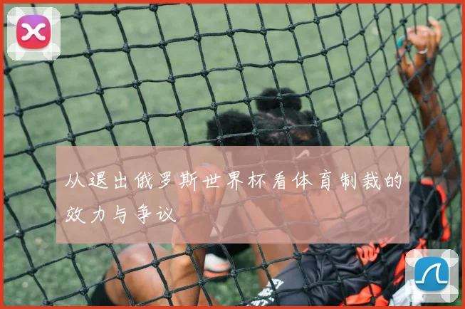 从退出俄罗斯世界杯看体育制裁的效力与争议