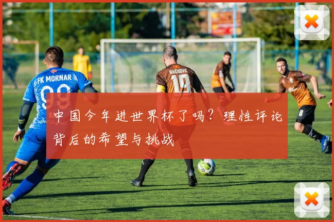 中国今年进世界杯了吗？理性评论背后的希望与挑战
