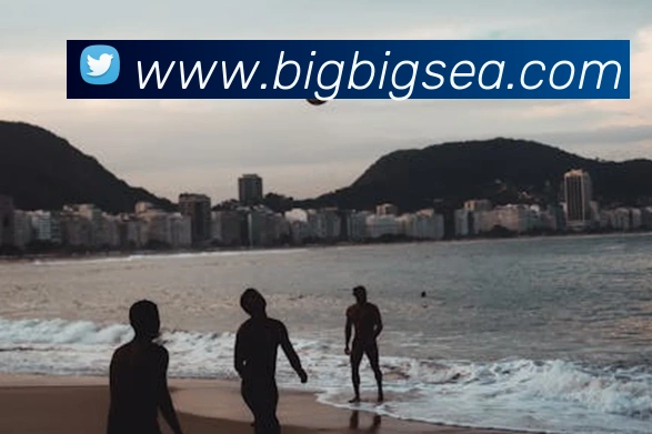 多媒体互动体验